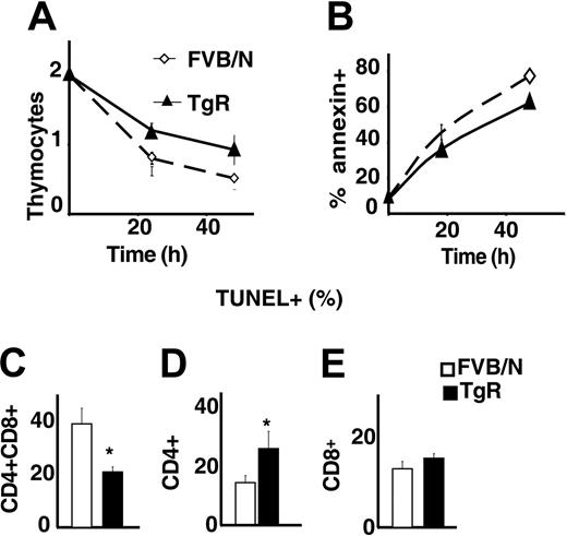 Figure 7. AChE-R thymocytes are more resistant to apoptosis. (A) Living thymocytes count after 1 and 2 days of culture showed that TgR thymocytes are more resistant to apoptosis. This was confirmed by annexin staining (B). (C-E) TUNEL staining on different thymocyte subsets. CD4+CD8+ (C) from TgR mice are less sensitive (P < .05) and CD4+ (D) more sensitive (P < .01) to spontaneous apoptosis, whereas sensitivity of the CD8+ subset is unchanged. Error bars show standard error of the mean (SEM). *P < .05.