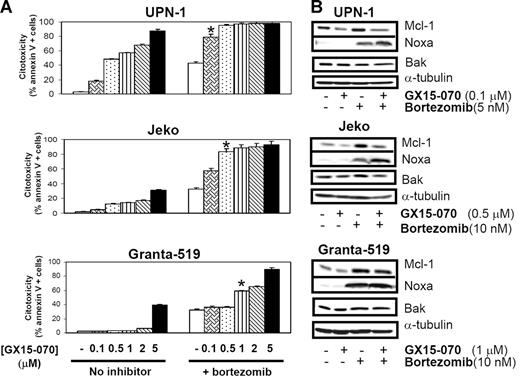 Figure 5. Synergistic effect of GX15-070 and bortezomib in MCL cell lines. (A) Cells from 3 MCL cell lines were cotreated with 5 nM (UPN-1) or 10 nM (Jeko and Granta-519) bortezomib and increasing doses of GX15-070 (0.1-5 μM) for 18 hours. Cytotoxicity was evaluated by cytofluorimetric analysis of Annexin V–APC. *Doses needed to observe a synergistic effect between bortezomib and GX15-070. Results represent the mean ± SD of 3 independent experiments. (B) Mcl-1, Bak, and Noxa expression was analyzed by Western blot in 50 μg of total protein extracts from UPN-1, Jeko, and Granta-519 cells cotreated with GX15-070 and bortezomib for 18 hours. α-tubulin was also probed as an equal loading control. Western blot images are representative results from 3 independent experiments.