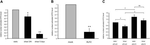 Figure 3. Functional analysis of nuclear ATF2 activity in endothelial cells exposed to prolonged shear and its dependence on KLF2. Nuclear extracts from HUVECs exposed to 5 days of pulsatile flow (A) or HUVECs overexpressing KLF2 (B) were assayed for the presence of functional Thr71-phosphorylated ATF2 protein. Data from 3 independent isolates are expressed relative to static or mock controls. (C) HUVECs containing lentiviral-delivered double-stranded siRNA directed against KLF2 or a control siRNA against FLUC were exposed for 5 days to shear stress or to static conditions and assayed for nuclear activated ATF2. The means of 3 different isolates are expressed relative to static FLUC. Error bars indicate SEM. Significant difference versus static control conditions is indicated (*P < .05; **P < .01).