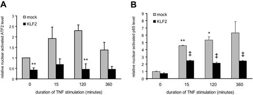 Figure 4. Effect of TNF-α on nuclear transcription factor activity in mock- and KLF2-tranduced HUVECs. Nuclear activation of ATF2 (A) or p65 (B) was determined in mock- and KLF2-overexpressing HUVECs activated for 0 to 3 hours with TNF-α (10 ng/mL). Basal and TNF-α–induced ATF2 levels were strongly suppressed by KLF2, whereas basal p65 levels were not changed and TNF-α–induced p65 levels were only partially inhibited. Data are represented as mean ratios of 2 to 3 different isolates relative to the unstimulated mock condition. Error bars indicate SEM. Significant difference between mock and KLF2 values is indicated (*P < .05; **P < .01); ‡, significant difference (P < .01) between TNF-α–stimulated and unstimulated control values.