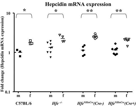Figure 3. Hepatic hepcidin mRNA expression. Hepcidin mRNA expression was measured in age- and sex-matched C57BL/6, Hfe−/−, and HfeVillinCre mice by quantitative real-time PCR using primers that specifically amplify both murine hepcidin isoforms. Groups of male (m) and female (f) mice are represented separately. Mean hepcidin mRNA expression in C57BL/6 males was arbitrarily set as 1; all other data are expressed in relation to this. There is no statistically significant difference in hepcidin expression between the different mouse genotypes. However, hepcidin mRNA expression differs significantly between male (m) and female (f) mice within each genotype (*P < .05; **P < .005, Student t test). Mean values are represented by horizontal bars.