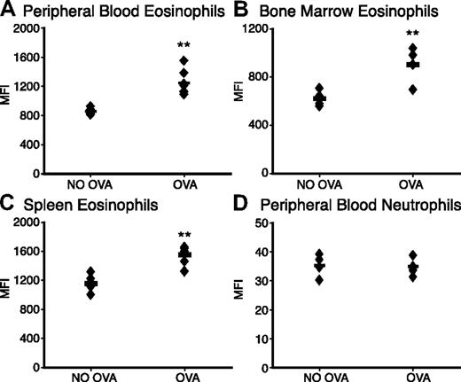 Figure 1. Eosinophil Siglec-F expression level is up-regulated upon OVA challenge. WT mice with OVA sensitization and challenge (OVA) were compared with OVA-sensitized and PBS-challenged control mice (NO OVA) for Siglec-F expression. Leukocytes from (A) peripheral blood, (B) bone marrow, or (C) spleen were stained with anti-CCR3 and anti–Siglec-F (or a control antibody). Cells were analyzed by flow cytometry and data plotted as the median fluorescence intensity (MFI) of anti–Siglec-F staining. (D) Peripheral-blood neutrophils serve as a control to show the specific change in eosinophil Siglec-F expression (note the different Y-axis, indicating that the expression levels on neutrophils are also much lower). Histogram profiles were unimodal, making the MFI a valid means of presenting the comparisons (n = 6; individual mice shown as ♦; averages shown as bars; data shown are representative of 3 experiments). **P < .01.