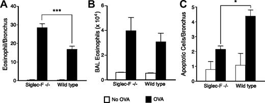Figure 5. Eosinophil resolution after OVA challenge is delayed in Siglec-F−/− mice and peribronchial-cell apoptosis is decreased. (A) Mice were killed 7 days after the last OVA challenge. Eosinophils/bronchus were enumerated, as in Figure 4. (B) Eosinophils in the BAL were counted, as described in “Materials and methods.” (C) Lung sections were stained for apoptotic cells by TUNEL assay (n = 4, data representative of 2 experiments). (A,C) *P < .05; ***P < .001.