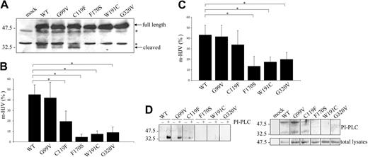 Figure 2. Analysis of the autoproteolytic cleavage and the cell-surface expression of HJV. (A) HeLa cells were transfected with empty vector (mock)–, WT-, and mutant HJV–expressing constructs; 50 μg of total lysates were loaded onto a 15% SDS-PAGE, blotted, and incubated with anti-HJV. Full-length (approximately 50 kDa) and cleaved (approximately 33 kDa) bands are indicated. *Unspecific bands. (B) Transfected HeLa cells were fixed and incubated with anti-cMYC. The amount of HJV expressed at the cell surface (nonpermeabilized cells) is shown as a fraction (percentage) of total protein expression (permeabilized cells). Statistical significance was calculated on 6 independent experiments, made in triplicate. *P < .001. (C) Transfected HepG2 cells were treated as described in panel A, and analyzed for the percentage of cell-surface HJV. *P < .001. (D) Top panel: transfected HeLa cells were incubated with (+) or without (−) PI-PLC (0.3 U/mL) in PBS at 37°C; after 2 hours, TCA-precipitated proteins were analyzed with anti-HJV. Bottom panel: transfected cells were incubated for 2 hours in DMEM containing 0.3 U/mL PI-PLC. Total lysates and acetone-precipitated proteins were analyzed under mildly reducing conditions with anti-HJV. Scales refer to relative molecular mass in kilodaltons. Error bars indicate SD.