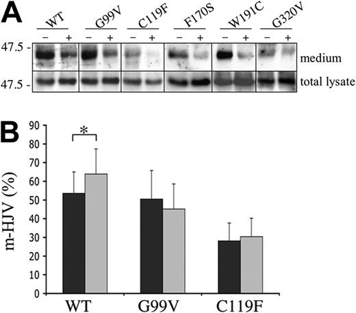 Figure 5. Iron modulates the secretion of s-HJV both in WT and mutants. (A) Transfected HeLa cells were incubated in serum-free media in the presence (+) or absence (−) of 50 μM FAC; after 24 hours, total lysates (50 μg) and concentrated media were analyzed with anti-HJV. Scales refer to relative molecular mass in kilodaltons. (B) Iron modulation of m-HJV was quantified by using the described binding assay. ▪ indicates untreated cells; ⊡, FAC-treated cells. Statistical significance was calculated on 4 independent experiments, made in triplicate. *P < .05. Error bars indicate SD.