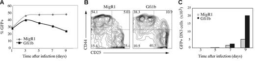 Figure 4. Differential effects of ectopic Gfi1b expression in primary T-lymphocyte progenitors cultured in vitro. (A) Fetal liver-derived HSCs (Lin−CD27+CD117+) were cultured on OP9-DL1 for 6 days prior to infection with MigR1 (◊) or MigR1-Gfi1b (▪). The percent of cells expressing GFP 1, 3, 5, 7, and 9 days after infection was determined by flow cytometry. One of 2 independent experiments is shown. (B) Expression of CD44 and CD25 on GFP+Lin− cells 5 days after infection with MigR1 or MigR1-Gfi1b retrovirus. The percent of cells in each quadrant is indicated. Results are representative of 4 experiments. (C) Total number of DN3 cells (Lin−CD44−CD25+) in cultures of wild-type HSCs infected with MigR1 (⊡) or MigR1-Gfi1b (▪) virus on day 6 of culture and examined at the indicated time after infection. The initial infection efficiency was similar for both retroviruses.