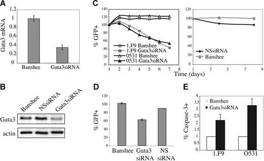 Figure 6. Gata3 is required for optimal survival of E2A−/− lymphomas. (A) Gata3 mRNA expression in Gata3siRNA-expressing lymphomas determined by real-time QPCR. (B) Western blot analysis of Gata3 expression in GFP+ 0531 cells infected with Banshee (control), irrelevant siRNA (NSsiRNA), or Gata3siRNA retrovirus. (C) Time course of relative percent GFP+ cells after infection of 0531 cells (△, ▴) or 1.F9 cells (○, •) with Banshee (○, △) or Gata3siRNA (•, ▴) retrovirus (left graph), or 0531 cells with Banshee (⊡) and NSsiRNA (♦) retrovirus (right graph). One representative experiment is shown. (D) Relative GFP+ cells 5 days after infection of 0531 cells with Banshee, Gata3siRNA, or NSsiRNA retrovirus. The average and standard error of 3 independent experiments is presented. (E) Percent of GFP+ cells staining with anti–caspase-3 antibody 24 hours after infection of 1.F9 or 0531 cells with Banshee (□) or Gata3siRNA (▪) retrovirus. Results are the average with standard error of 3 replicate experiments.