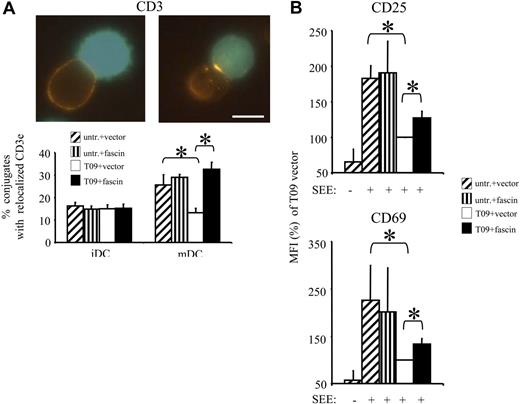 Figure 7. Overexpression of fascin in LXR agonist–treated DCs leads to enhanced IS formation and further T-cell activation. Immature DCs were differentiated for 6 days and left untreated (untr) or treated from day 2 on with 2 μM LXR agonist T0901317 (T09). Mature DCs were obtained from iDCs by incubation with LPS for the last day. iDCs and mDCs were then transfected with pEGFP-C1-vector (vector) or pEGFP-C1-fascin (fascin) plasmid. (A) At 24 hours after transfection, DCs were pulsed with superantigen for 30 minutes and incubated with Jurkat T cells for an additional 30 minutes. CD3ϵ relocalization was visualized by indirect immunofluorescence. Typical examples of conjugates, negative (left) or positive (right) for relocalization of CD3ϵ, are shown. Bar represents 10 μm. The diagram shows the percentage of conjugates counted positive for CD3ϵ relocalization in means ± SEM of 4 independent experiments. Significance versus T09 + vector: *P ≤ .05. (B) At 24 hours after transfection, GFP-positive DCs were FACS sorted to a purity of 98%. FACS-sorted pEGFP-C1–positive DCs were pulsed with superantigen for 30 minutes and incubated with Jurkat T cells at a DC/T-cell ratio of 1:8 and 1:16 for 24 hours. Expression of CD25 and CD69 was analyzed by 2-color flow cytometry. Diagram shows geometric mean fluorescence intensities (MFIs) ± SEM related to those obtained from T09-treated vector–transfected DCs (T09 + vector, set to 100%) of 3 independent experiments. Significance versus T09-vector: *P ≤ .05.