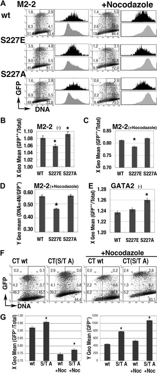 Figure 6. Effect of mutations at S/T0P+1 residues. (A) Representative results of mutations at S227 residue on the expression profile of GFP-M2-2 fusion proteins. Black and gray histograms represent the DNA content of GFP++ (channel > 103) and total cells in the same dishes, respectively. (B-C) S phase–specific expression of GFP-M2-2 fusion proteins was represented as the shift of X geometric mean channel (DNA content) of GFP++ cells, from that of total cells in the experiments with (C) or without (B) nocodazole treatment. A value of 1.00 means that the DNA content of GFP++ cells is equal to that of total cells. (D) Fluorescence intensity (Y geometric mean channel) of cells expressing GFP-M2-2 fusion protein (channel > 101) or mutants in 4N population after nocodazole treatment. (E) Effect of the mutation at S227 residue in GFP-GATA2 fusion protein on the DNA content (X geometric mean) of GFP++ cells. (F-G) Effect of S/T to A mutations on the expression of GFP-CT fusion proteins. Representative results are shown in panel F. Left panel in G shows the change of X geometric mean channel (DNA content) of GFP+ cells (channel > 102). Right panel shows the fluorescent intensity (Y geometric mean channel) of GFP+ cells (channel > 101). (B-E,G) Mean ± standard error of the mean; *P < .05, compared with wild-type results. For panels A and F, numbers indicate the percentage of cells in each rectangle region.