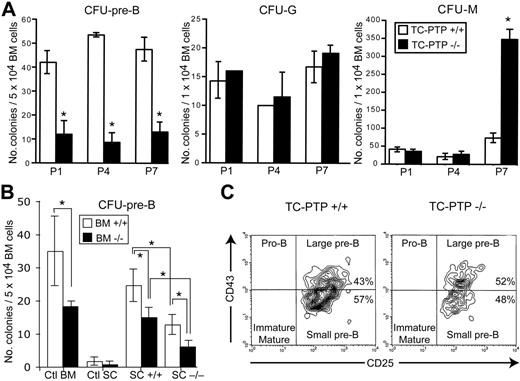 Figure 1. Bone marrow colony-forming assays. (A) Whole bone marrow was harvested from wild-type (WT; □) and TC-PTP−/− (KO; ▪) mice at P1 (3 WT, 3 KO), P4 (2 WT, 4 KO), and P7 (4 WT, 3 KO) and incubated in methylcellulose medium. The total number of colonies per culture dish is reported as mean ± SD. *P < .002. (B) Whole bone marrow was harvested from wild-type (WT; □) and TC-PTP−/− (KO; ▪) mice at P7 (8 WT, 6 KO). Cells were cultured in methylcellulose medium supplemented with IL-7 in uncoated culture dishes (Ctl BM) or on monolayers of bone marrow stromal cells from WT mice (SC +/+) or KO mice (SC −/−). As control, marrow stromal cells were cultured with methylcellulose medium containing IL-7 without bone marrow cells (Ctl SC). The total number of colonies per culture dish is reported as mean ± SD. *P < .002. (C) Flow cytometry analysis of CFU–pre-B cells recovered from methylcellulose cultures. Analysis was gated on B220+ cells (95% B220+ for TC-PTP+/+ and 94% B220+ for TC-PTP−/−) to include only B cells. Representative data are shown for flow cytometry of TC-PTP+/+ and TC-PTP−/− cultures. All experiments were repeated at least 3 times.