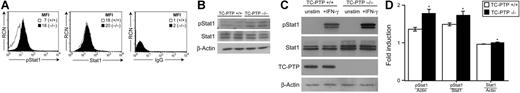 Figure 4. Stat1 phosphorylation in bone marrow B cells. (A) Whole bone marrow was harvested from TC-PTP+/+ (□) and TC-PTP−/− (▪) mice at P7. Ex vivo cells were stained for surface expression of B220 and intracellular expression of Stat1 and phosphorylated Stat1 (pStat1), for flow cytometry analysis. Nonspecific IgG was used as negative control for intracellular staining. Analysis was gated on B220+ cells to include only B cells. RCN is plotted against pStat1, Stat1, or IgG fluorescence. MFI is indicated. (B) Whole bone marrow was harvested from TC-PTP+/+ (WT) and TC-PTP−/− (KO) mice at P7 (3 WT, 3 KO). Ex vivo pre-B–cell lysates were prepared and fractionated on 8% SDS-PAGE. Western blot analysis of phosphorylated Stat1 (pStat1), total Stat1 (Stat1), and β-actin was performed in duplicate. Each sample contained 15 μg protein. (C) Whole bone marrow was harvested from TC-PTP+/+ and TC-PTP−/− mice at P7 (4 WT, 3 KO). Pre-B cells were cultured in vitro as described in “Materials and methods”; purity and yield are described in Figure S3. Pre-B cells were harvested and starved prior to stimulation with IFN-γ (+IFN-γ) for 5 minutes or left untreated (unstim). Cell lysates were prepared and fractionated on 8% SDS-PAGE. Western blot analysis of phosphorylated Stat1 (pStat1), total Stat1 (Stat1), TC-PTP, and β-actin was performed. Each sample contained 3.25 μg protein. (D) Quantitation of Western blot analysis. □, TC-PTP+/+; ▪, TC-PTP−/−. (D left panel) Fold increase in the density of pStat1 is provided relative to unstimulated controls and after normalization to density of β-actin (Actin) and total density of Stat1. (D right panel) Relative density of total Stat1 protein before and after normalization to total density of β-actin. Data are provided as mean ± SD. *P < .01. All experiments were repeated at least 3 times. All experiments were repeated at least 3 times.