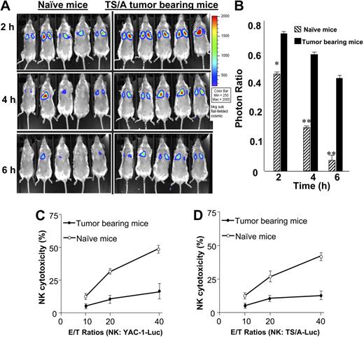 Figure 1. NK cell cytotoxicity is suppressed in tumor-bearing mice. Seven-week-old BALB/c mice were injected subcutaneously with TS/A tumor cells (3 × 105) or PBS as a control. Four weeks after tumor challenge, the mice were anesthetized and injected intravenously with YAC-1–Luc cells (1 × 106). After injection of D-luciferin the mice were imaged at hours 0, 2, 4, and 6 (A), and the total photon count per minute (photons per minute) calculated (5 animals) using Living Image software. The efficiency of NK cell killing of injected YAC-1–Luc cells was determined by measuring the numbers of photons collected at the imaging time points divided by at 0 hours collected (B). *P < .05; **P < .001. On completion of the imaging studies, NK cells (DX5+) were isolated from the spleen, and then stimulated with recombinant IL-2 (100 U/mL) for 5 days. After the incubation period, the NK cells were added to YAC-1–Luc or TS/A-Luc cells at varying effector-target (E/T) ratios (10:1, 20:1, and 40:1) as indicated in panels C and D. The cytotoxicity of NK cells to YAC-1–Luc (C) or TS/A-Luc (D) was determined using an NK cell cytotoxic assay as described in “Cytotoxicity assay.” The data represent the mean ± SEM from 5 mice from each group.