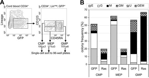 Figure 3. Effect of Ras on lineage specification. (A) CD34+ GFP+ lin− cells (day 3) were single-cell sorted as 3 subpopulations representing multipotent myeloid cells (CMP) and bipotent populations: GMP and MEP on the basis of CD123 and CD45RA expression. Figures indicate mean ± SD population frequencies. Data illustrated are for Ras-transduced cells. (B) Frequency distribution of colonies derived from each uncommitted subpopulation: E indicates erythroid; G, granulocytic; M, macrophage; GM, granulocyte/macrophage; U, indefinable by surface phenotype. Individual cells were cultured in IL-3, IL-6, GM-CSF, G-CSF, SCF, and Epo and harvested 7 days later.