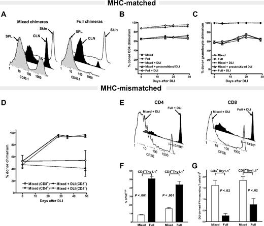 Figure 1. The level of residual host CD11c+ DCs does not influence the DLI-mediated LH-GVH response in MHC-matched in contrast to MHC-mismatched chimeras. (A-C) MHC-matched setting. (A) DC chimerism analysis of 8-week-old B10.D2 + BALB/c-CD45.1→BALB/c-CD45.1 mixed and B10.D2→BALB/c-CD45.1 full chimeras. Representative histograms show differing levels of residual host DC chimerism in the spleen (SPL) and cutaneous lymph nodes (CLNs) of mixed versus full chimeras and near complete persistence of host-derived CD11c+ DCs in the skin of both groups. Data represent results of 2 independent experiments. (B-C) Serial analysis of multilineage chimerism in peripheral blood after DLI administration. The 8-week-old B10.D2 + BALB/c-CD45.1→BALB/c-CD45.1 mixed chimeras received nothing (□; n = 5), 2 × 107 splenocytes from naive B10.D2 donor mice (▪; n = 5) or the same dose of DLI from B10.D2 mice presensitized to host antigens (▵; n = 5). 8-week-old of B10.D2→BALB/c-CD45.1 full chimeras received nothing (⋄; n = 5) or 2 × 107 splenocytes from the same naive donor source (♦; n = 5). Changes in donor CD4+ T-cell (B) and granulocyte chimerism (C) were monitored by serial tail bleeding and flow cytometric analysis using fluorochrome-conjugated antibodies against Gr-1, CD4, and CD45.1. Data are presented as a mean percentage of donor chimerism ± SEM and represent one of 2 independent experiments. (D-G) MHC-mismatched setting. At 8 weeks after alloBMT MHC-mismatched B6 + BALB/c→BALB/c mixed chimeras received nothing (open symbols) or DLI (filled symbols) in the form of 2 × 107 splenocytes from donor B6 mice. (D) Changes in CD4+ (□, ▪) and CD8+ (⋄, ♦) T-cell chimerism were determined in peripheral blood by flow cytometry after staining with anti–H-2b–, anti-CD4–, and anti-CD8–specific antibodies. Data are presented as a mean percentage of donor chimerism ± SEM (n = 5 mice/group). (E) At 8 weeks after alloBMT 2 × 107 CFSE-labeled splenocytes from B6.PL-Thy1a mice were transferred to B6 + BALB/c→BALB/c mixed and B6→BALB/c full donor chimeras. Representative CFSE profiles of gated DLI-derived CD4+Thy1.1+ and CD8+Thy1.1+ T cells analyzed using anti-Thy1.1–, anti-CD4–, and anti-CD8–specific antibodies on day 5 after adoptive transfer. Gating used to delineate unproliferated CFSEhi from fast proliferating DLI-derived T-cells is indicated. (F) Percentages of gated CFSEhi DLI-derived CD4+ and CD8+ T cells in spleens of mixed and full chimeras on day +5 after DLI. (G) Absolute numbers of IFN-γ–producing DLI-derived T cells in the spleens of mixed and full MHC-mismatched chimeras on day +5 following DLI (after brief ex vivo stimulation). Data shown represent 1 of 3 independent experiments (mean ± SEM; n = 3-4 mice/group).