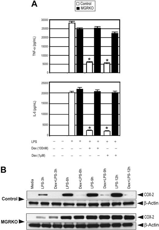 Figure 2. Dex suppresses LPS-mediated inflammatory gene expression. (A) Effect of Dex on LPS-mediated induction of TNF-α and IL-6 in control (□) and MGRKO (▪) macrophages. Data are shown as mean ± SEM; n = 5; *P < .01 compared with treatment group without Dex in control macrophages. (B) Effect of Dex on LPS-mediated induction of COX-2. Representative of 3 independent experiments.