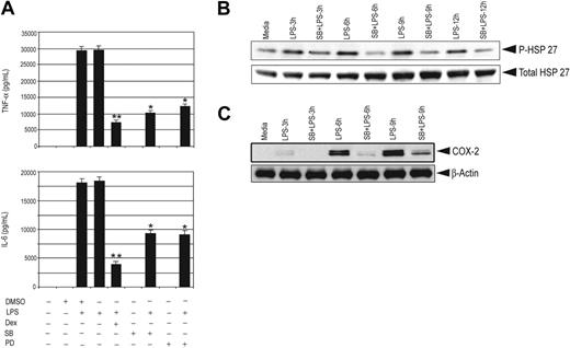 Figure 4. p38 MAPK inhibitors impair proinflammatory gene expression and effect of Dex on MKP-1. (A) Effect of SB (20 μM) and PD (20 μM) on LPS-mediated induction of TNF-α and IL-6 in control macrophages; n = 3; **P < .01 and *P < .02 compared with treatment group with LPS. Error bars indicate SEM. Effect of SB (20 μM) on LPS-mediated (B) phosphorylation of HSP27 and (C) induction of COX-2 for the indicated period of time in control macrophages. Representatives of 2 to 3 independent experiments.
