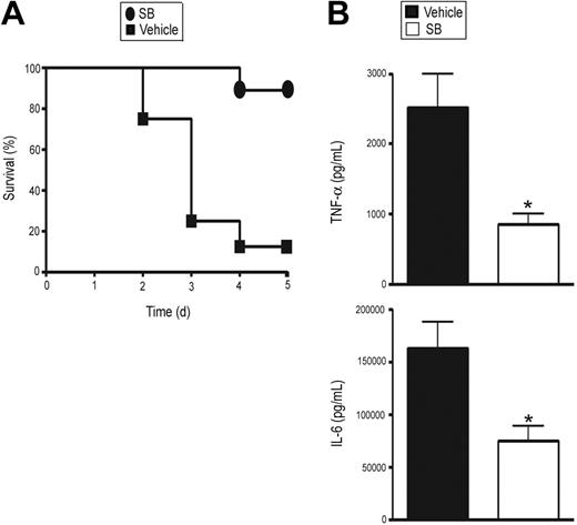 Figure 6. SB suppresses LPS-induced systemic secretion of proinflammatory cytokines and lethality in MGRKO mice. (A) Effect of SB (•) or vehicle (▪) on LPS-mediated mortality in MGRKO mice. For the SB-treated group, mice were injected intraperitoneally with SB (2 mg/kg) 1 hour before LPS (10 mg/kg) treatment. P < .01 for SB-treated mice (n = 9) compared with vehicle-treated mice (n = 8). (B) Effect of SB (□) or vehicle (▪) on LPS-mediated induction of TNF-α and IL-6 in MGRKO mice. Mice were injected intraperitoneally with SB or vehicle followed by treatment with LPS for 6 hours. *P < .05 for SB-treated group (n = 5) compared with vehicle-treated group (n = 11). Error bars indicate SEM.