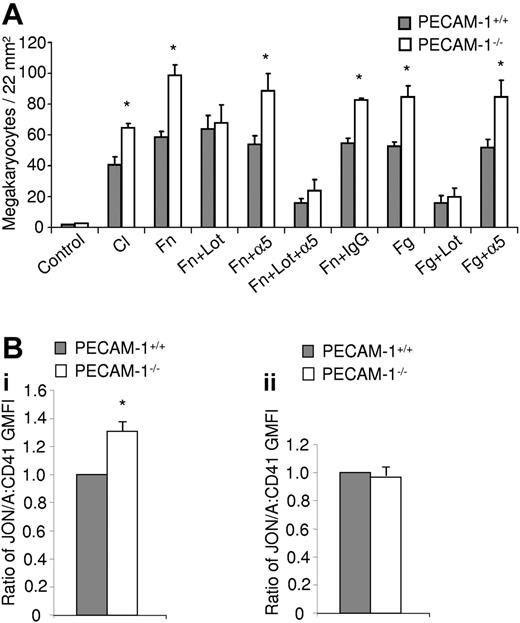 Figure 5. PECAM-1−/− MKs demonstrate increased adhesion mediated by overactivation of the αIIbβ3 integrin. (A) PECAM-1−/− MKs demonstrate increased adherence to fibronectin (Fn), collagen (Cl), and fibrinogen (Fg) monolayers. This increased adhesion is maintained in the presence of an α5 integrin blocking antibody (α5) however absent in the presence of the αIIbβ3 integrin inhibitor lotrafiban (Lot). Mean of 3 experiments. *P < .05. (Bi) The ratio of Jon/A to CD41 binding on MKs (mean of 3 experiments) presented as geometric mean fluorescence intensity (GMFI) ± SEM. (ii) The ratio of Jon/A to CD41 binding on platelets (mean of 3 experiments) presented as geometric mean fluorescence intensity (GMFI) ± SEM. *P < .05.