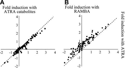 Figure 6. Treatment by ATRA or RAMBA leads to distinct transcriptional efficiencies. Transcriptional activity in response to ATRA was compared with the activity in the presence of either ATRA catabolites (A) or RAMBA (B). Transcriptional fold induction (Log10) was measured after 48 hours of treatment with 1 μM of each retinoid.