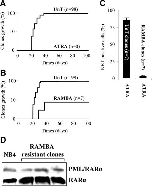Figure 7. Inhibition of ATRA metabolism leads to high growth of NB4-resistant subclones. Percentage of resistant NB4 subclone growth following treatment with either ATRA (A) or RAMBA (B). Statistical analysis was performed on 100 clones for each condition. (C) RAMBA-treated subclones showing growth were confirmed to be resistant to ATRA using the NBt test. Error bars represent the standard error (n = 7). (D) Western blot revealing the presence of the PML/RARα protein in 3 RAMBA-treated resistant clones.