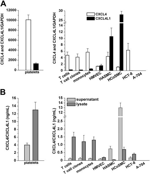 Figure 1. Detection of CXCL4 and CXCL4L1 mRNA expression and of CXCL4/CXCL4L1 protein secretion in different human cell types. (A) CXCL4 and CXCL4L1 mRNA levels in platelets (left) and in different human cell types (right). GAPDH was used as a housekeeping gene to correct for small differences in cDNA contents. Total mRNA/cDNA (25 ng) was processed in all experiments. Mean values (± SEM) of triplicate determinations of samples obtained from at least 5 independent donors are reported. (B) CXCL4/CXCL4L1 protein levels in lysate and supernatant from platelets (left) and from different human cell types (right), as assessed by ELISA. Cells were cultured for 24 hours in serum-free medium at a concentration of 1 × 106 cells/mL medium as described in “Materials and methods.” Mean values (± SEM) of duplicates determinations of samples obtained from at least 5 independent donors are reported.