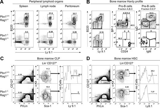 Figure 3. Absence of B cells in the secondary lymphoid tissues and impaired B-cell development in the bone marrow of Pbx1−/−Rag1−/− chimeric mice. (A) FACS analysis was performed on cells harvested from the spleen, lymph node, and peritoneal cavity of chimeric mice. Staining with anti-B220 (B cells) and anti-Ly9.1 (donor) antibodies showed that all sites in Pbx1−/−Rag1−/− mice were devoid of donor-derived B cells (Ly9.1+B220+). (B) Hardy profile analysis25 was performed on bone marrow cells of chimeric mice. Donor-derived (Ly9.1+) cells from fractions A through C (B220+CD43+) and D through F (B220+CD43−) were completely absent in the bone marrow of the Pbx1−/−Rag1−/− mice. (C) FACS analysis of bone marrow cells for CLPs19 revealed the absence of Ly9.1+ CLPs in Pbx1−/−Rag1−/− chimeras. (D) FACS analysis of bone marrow cells for HSCd revealed the presence of Ly9.1+ HSCs in Pbx1−/−Rag1−/− chimeras.
