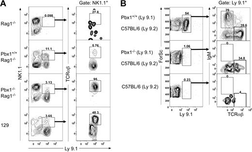 Figure 4. Poor lymphoid reconstitution in transplant recipients of Pbx1−/−Rag1−/− bone marrow cells. (A) FACS analysis using NK and T cell-specific fluorochrome-conjugated antibodies was performed on cells from the peripheral blood of chimeric and control mice.26 Very few Ly9.1+NK1.1+ cells were detected in the Pbx1−/−Rag1−/− adult chimeric mice. All NK1.1+ cells in Pbx1−/−Rag1−/− chimeric mice were TCRαβ+ (NKT cells) in contrast to Pbx1+/+Rag1−/− mice. Analyses of Rag1−/− and 129 mice are shown for comparison. (B)Equal numbers of donor-derived (Ly9.1+) Pbx1−/− or Pbx1+/+ cells were FACS purified from Rag1−/− blastocyst-complemented mice and transplanted into lethally irradiated C57BL/6 recipients along with 2 × 106 Rag1−/− bone marrow cells. No donor-derived B cells were detected in the peripheral blood of recipients receiving Pbx1−/−Rag1−/− bone marrow in contrast to recipients of control Pbx1+/+Rag1−/− bone marrow. Reconstitution of TCRαβ cells was present, but poor, in recipients receiving Pbx1−/−Rag1−/− bone marrow.
