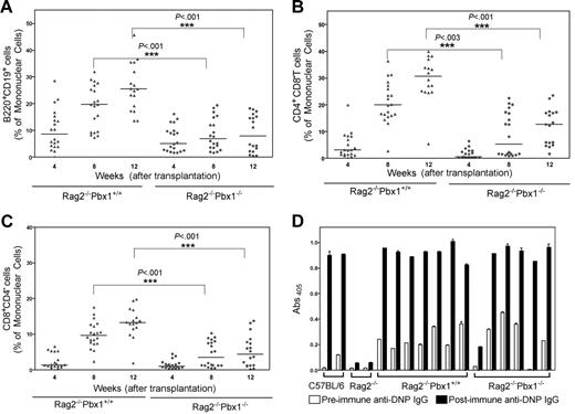Figure 6. A transient and quantitatively reduced lymphoid development occurs in Pbx−/− fetal liver transplant recipients. (A) Wild-type or Pbx1−/− fetal liver cells (1 × 106) were transferred to lethally irradiated Rag2−/− recipients. At the indicated time points, FACS analysis was performed to assess B-cell reconstitution in peripheral blood from chimeric mice using fluorochrome-conjugated B cell-specific (B220 and CD19) antibodies. Very few B220+CD19+ cells were observed in Pbx1−/− as well as Pbx1+/+ fetal liver recipients at 4 weeks after transplantation. The numbers of B cells steadily increased at later time points in Pbx1+/+Rag2−/− fetal liver chimeras (▴), but not in the Pbx1−/− chimeras (•). Median values (of 20 recipients) are represented by a solid horizontal line at each time point. (B) FACS analysis was performed to monitor T- cell reconstitution in the peripheral blood of chimeric mice using fluorochrome-conjugated anti-CD4 and CD8 antibodies. Reconstitution of CD4+CD8− T cells in the Pbx1++ and Pbx1−/− fetal liver chimeras followed similar patterns as B cells. (C) The kinetics of reconstitution of CD8+CD4− was also similar to B cells indicating significantly reduced lymphopoiesis in the Pbx1−/−Rag2−/− fetal liver chimeras. (D) Chimeric mice were immunized with KLH-DNP (100 μg, intraperitoneally) and serum anti-DNP IgG antibodies were measured by ELISA. Pbx1−/− chimeras mounted comparable DNP-specific IgG response with wild-type chimeras. Error bars represent SEMs for triplicate analyses.