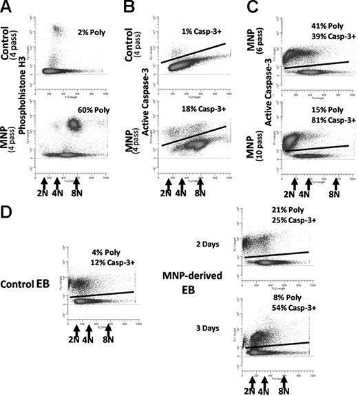 Figure 3. Apoptosis and cell-cycle analysis in preformed mouse polyploidy ESCs and their EB formation after expansion culture. Phosphohistone H3 (A) and caspase-3 (B) is shown in control (solvent-treated) E14 cells or in preformed polyploid (MNP) cells after cells were washed free of nocodazole or control solvent, recultured in complete medium containing LIF, and expanded by subculture for 4 passages (4-pass). They were then harvested, and multivariate cell-cycle analysis performed as in Figure 1. DNA content, percentage of polyploidy, and percentage of apoptosis are numerically indicated. (C) Apoptosis and polyploidy after 6 and 10 expansion passages of MNP is numerically shown. (D) Untreated control and MNP cells from panel A were then washed free of LIF and placed into EB medium for the indicated time, then harvested and apoptosis analysis done. DNA content and numerical percentages of polyploidy and apoptosis for untreated control cell–derived mEB cells and MNP-derived mEB cells are indicated. This experiment was repeated once with similar results.