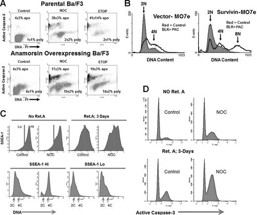 Figure 4. Intrinsic apoptosis-suppression uncouples somatic cells, while differentiation of mESCs in the presence of LIF does not prevent coupling. Ba/F3 cells and their derivatives containing an expression vector for overexpressing anamorsin were treated with control solvent or nocodazole or etoposide for 48 hours, then harvested and cell cycle/apoptosis analysis performed (A) as in Figure 2A. Percentages of polyploidy and apoptosis (mean ± 1SD) from 3 experiments is shown. (B) MO7e cells expressing empty vector or a vector containing survivin. Cells were treated with paclitaxel or control solvent for 48 hours then harvested, and cell-cycle analysis was performed. This experiment was repeated once with similar results. (C) E14 mESCs were treated with RA for 3 days, than treated for 1 additional day with nocodazole added. SSEA-1 expression is shown in the top panel, and cell-cycle analysis of SSEA-1-Hi and SSEA-1-Lo gated cells is shown in the bottom panel. (D) Caspase-3 activation in cultures from panel C.