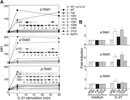 Figure 3. IL-21–induced Stat1 and Stat3 activation requires Y510. (A) Ba/F3 cells stably transfected with the indicated constructs were cultured in IL-3–free medium for 5 hours and treated with 20 ng/mL IL-21 for 0, 5, or 30 minutes. Cells were fixed, permeabilized, and subjected to intracellular staining with mAbs to p-Stat1, p-Stat3, or p-Stat5. Mean fluorescence intensity (MFI) is shown. Similar results were obtained with 100 ng/mL IL-21. These Ba/F3 stable transfectants were also stimulated with 20 ng/mL IL-21 for 30 minutes and Western blotted with antibodies to phosphorylated or nonphosphorylated STAT proteins as in Figure 1A. 0 through 9 refer to the conditions for the Western blot insets. The lines for 1 to 9 and symbols refer to the flow cytometric analyses. The designations are as follows: p-S1 indicates phosphorylated Stat1; S1, total Stat1, and analogously for Stat3, Stat5, Stat5a, and Stat5b. (B) IL-21R–deficient splenic CD8+ T cells transduced with empty vector (pRV) or retroviruses expressing IL-21R constructs were treated for 30 minutes with medium or 100 ng/mL IL-21. Cells were fixed, permeabilized, and subjected to intracellular staining as in panel A. Shown is the average fold induction (means ± SEM) of MFI of phosphorylated STAT proteins from 4 independent experiments.
