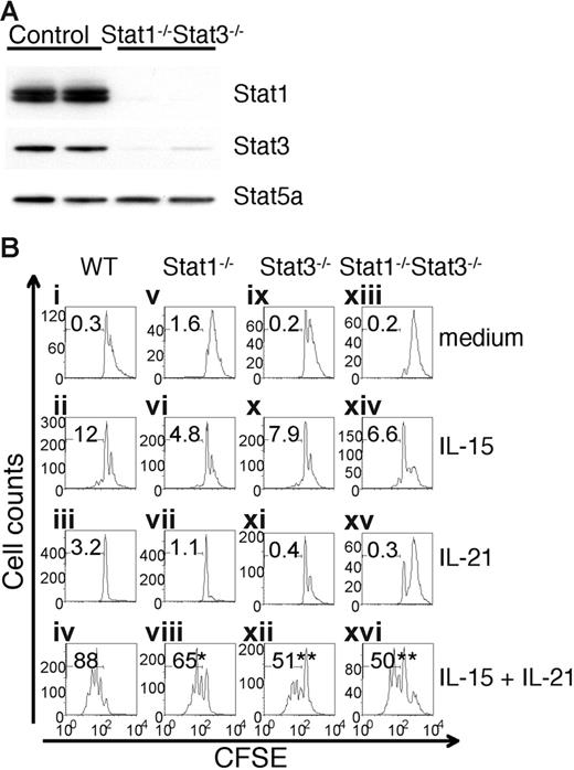 Figure 5. Stat1/Stat3-deficient CD8+ T cells exhibit diminished expansion in response to IL-15 + IL-21. (A) Splenic CD8+ T cells were isolated from control floxed Stat3 mice or Stat1−/−Stat3−/− mice and then Western blotted as in Figure 1A with antibodies to Stat1, Stat3, and Stat5a. (B) Splenic CD8+ T cells were isolated from WT, Stat1−/−, Stat3−/−, or Stat1−/−Stat3−/− mice, stained with CFSE, cultured in complete medium at 5 × 105/mL without cytokine or with 100 ng/mL of IL-15 and/or IL-21 for 4 days, and analyzed by flow cytometry. Percent CFSE dilution is indicated. Flow cytometric results shown are representative of 3 experiments. Statistical analyses are comparisons to cells from WT mice. *P < .05; **P < .01.