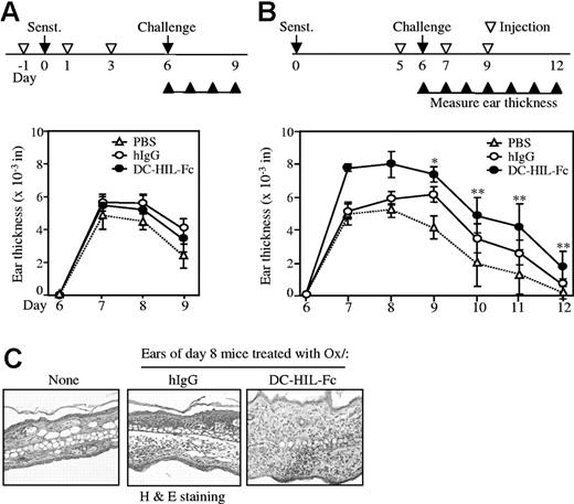 Figure 5. Soluble DC-HIL-Fc enhances elicitation of Ox-induced contact hypersensitivity in mice. Sensitization of BALB/c mice (n = 5) with Ox for CH (A-B): on day 0, mice were painted with 2% Ox on abdominal skin (Senst). On day 6, CH was elicited in sensitized mice by painting 1% Ox or solvent control to right and left ears, respectively (Challenge). CH was assessed daily through day 9 or 12 by measuring ear thickness (▴). Mice were injected intraperitoneally with PBS, hIgG, or DC-HIL-Fc (10 mg/kg each) on days −1, 1, and 3 (before and after sensitization) (A) or on days 5, 7, and 9 (before and after challenge) (B). Daily change in ear thickness was plotted for each panel during sensitization (A) or elicitation (B). *P < .003; **P < .05 compared with ear thickness of mice treated with hIgG. (C) Ear skin was excised from mice treated without (None) or with Ox and Fc protein (2 days after elicitation) and examined histologically (10×/10 objective lens). Data shown (A-B) are representative of 4 independent experiments.