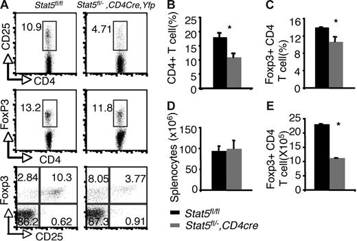 Figure 4. Reduction of peripheral Foxp3+ CD4+ T cells with tissue-specific decrease of Stat5a/b levels. (A) CD25 and Foxp3 expression were analyzed in sorted CD4+ SP splenocytes from Stat5fl/fl mice and YFP+CD4+ SP splenocytes from Stat5fl/−, CD4Cre, Yfp mice. Numbers indicate the percentage of CD25+ or FoxP3+ cells delineated by the rectangles. (B) Average proportion of CD4+ SP splenocytes. (C) Mean percentage of Foxp3+ CD4+ T cells. (D) Average total numbers of splenocytes. (E) Absolute numbers of Foxp3+ CD4 T cells. Means ± SE (n = 6) are shown (*P < .01).