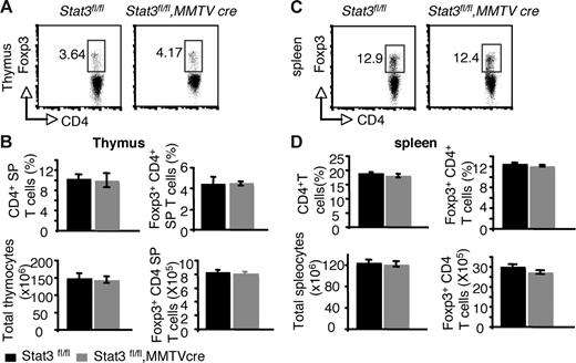 Figure 5. Reduction of Stat3 levels in CD4 T cells has no effect on Foxp3 expression from both thymi and spleens. (A) Foxp3 expression was analyzed in CD4 SP thymocytes by flow cytometry. (B) The mean proportion of CD4 SP thymocytes, the mean percentage of Foxp3+ CD4+ T cells, the average total numbers of thymocytes, and the absolute numbers of Foxp3+ CD4 T cells in thymocytes are shown. (C) Foxp3 expression was analyzed in CD4+ splenocytes by flow cytometry. (D) The average proportion of CD4+ SP splenocytes, the mean percentage of Foxp3+ CD4+ T cells, the average total numbers of splenocytes, and the absolute numbers of Foxp3+ CD4 T cells are shown. Means ± SE (n = 5) are shown. In panels A and C, numbers indicate the percentage of FoxP3+ cells delineated by the rectangles.
