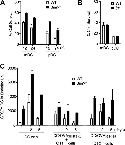 Figure 2. Increased survival of Bim−/− DCs. (A) mDCs and pDCs enriched from wild-type (WT) or Bim−/− mouse spleens were cultured in vitro for 12 or 24 hours, followed by analysis of cell loss by flow cytometry. Data shown (mean ± SD) are averages of 3 sets of mice of each genotype. (B) mDCs and pDCs enriched from 3 to 5 wild-type (WT) or lpr mouse spleens were cultured in vitro for 20 hours, followed by analysis of cell loss. Data shown (mean ± SD) are averages of 3 sets of mice of each genotype. (C) Mice were either untreated or injected with OT1 or OT2 cells. Twenty-four hours later, WT or Bim−/− DCs with or without pulsing of corresponding OVA peptides were labeled with CFSE and injected into the footpad of these mice. CFSE+ DCs in the draining lymph nodes (LNs) were quantitated at days 1, 2, and 5 after DC injection. Data shown are the representative of 2 separate experiments and are presented as mean ± SD of 3 mice per injected group at each time point. Statistical significance between mice injected with wild-type and Bim−/− DCs was analyzed by Student t test, and the P values are as follows: .024 (day 1), .043 (day 2), .001 (day 5); in groups injected with DC/OVASINFEKL: .149 (day 1), .220 (day 2), .013 (day 5); and in groups injected with DC/OVA323-339, .029 (day 1), .205 (day 2), .048 (day 5).