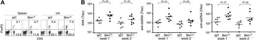 Figure 7. Roles of Bim−/− DCs in inducing autoantibody production. (A) Splenic and lymph node (LN) cells from 2-month-old Bim−/− or wild-type (WT) control mice were incubated with cychrome anti-CD4, followed by intracellular staining with PE anti-FoxP3 and analysis by flow cytometry. Percentages of CD4+FoxP3+ Treg cells (mean ± SD) in 4 WT and Bim−/− mice were as follows: in the spleens, 2.9 ± 0.30 (WT) and 3.6 ± 0.44 (Bim−/−), P = .32; in the LNs, 5.6 ± 0.61 (WT) and 6.9 ± 0.35 (Bim−/−), P = .25. (B) CD11c+ WT or Bim−/− BMDCs were injected into syngenic C57BL/6 recipient mice intraperitoneally, followed by injection of LPS intraperitoneally (30 μg/mouse) 24 hours later. Sera were collected from recipient mice 1 and 2 weeks later for quantitation of ANA, anti-ssDNA, and anti-dsDNA by ELISA. The titers of the antibodies shown are representative of 3 independent experiments. Bars indicate geometric means. Statistical significances were analyzed by Student t test using GraphPad Prism version 4 for Macintosh (GraphPad Software, San Diego, CA). A P value less than .05 was considered statistically significant.