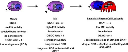 Figure 6. A hypothetical model of DKK1 regulation in myeloma plasma cells during different stages of MM disease progression. ROS indicates reactive oxygen species.