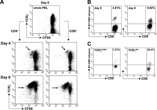 Figure 2. The TCRζdim cell subset is enriched for antigen experienced T cells. (A) Healthy donor PBLs were stained with CFSE prior to stimulation with OKT3. At the indicated times, cells were harvested, stained for TCRζ together with CD3, CD4, or CD8, and dilution of CFSE fluorescence determined by flow cytometry. Proliferating TCRζbright cells are indicated (arrows). (B) Fresh PBLs from HLA-B*0702+ CMV-reactive donors were stimulated in vitro with p65 CMV peptide, IL-2, and IL-7. Eight days later, cells were stained for the presence of peptide-reactive CD8+ T cells using fluorescent HLA-B7/p65 MHC-peptide tetramers and anti-CD8. (C) Cells were stained for TCRζ expression and the percent CD8+ tetramer-positive T cells within TCRζbright and TCRζdim subsets determined. The percent tetramer-positive cells is indicated. Data are representative of multiple experiments.