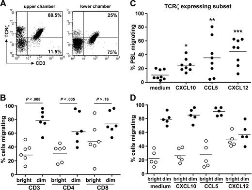 Figure 6. TCRζdim T cells exhibit enhanced migratory capacity in vitro. (A) Healthy donor PBLs (5 × 106) were applied to the gelatin-coated Transwell containing a monolayer of TNF-α–stimulated HUVECs and cells in upper and lower chambers harvested at 24 hours prior to staining for expression of CD3ϵ and TCRζ and analysis by flow cytometry. Representative dot plots are shown. (B) Subset analysis of migrating cells. After 24 hours cells were harvested and stained for TCRζ and CD3, CD4, or CD8, as in panel A. Data are expressed as the percentage of cells migrating relative to the total number of each cell subset added to the Transwell. The significance of differences between migration of TCRζbright and TCRζdim cells is shown. (C) The chemokines CXCL10, CCL5, or CXCL12 were added to each lower chamber of the Transwell at 50 ng/mL and the total number of PBLs migrating determined after 24 hours; *P < .013; **P = .063; ***P < .004 compared to cells migrating in the absence of exogenous chemokine. (D) The effects of each chemokine on the migration of TCRζbright and TCRζdim cells were determined by flow cytometry, as described. Differences in migration between subsets was highly significant (P < .002), with the exception of migration in response to CXCL12. Within subset differences between “medium” and CXCL12-stimulated cells were also significant (P < .023).