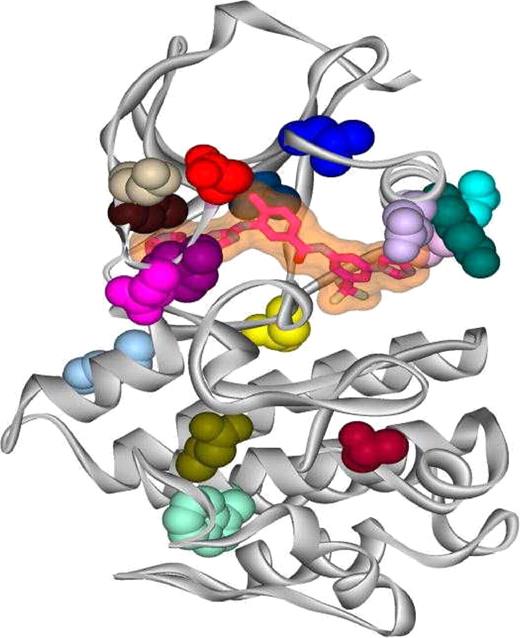 Figure 2. AMN107 bound to the kinase domain of Abl. The ribbon diagram depicts the kinase domain of Abl (shown in gray) with AMN107 (shown as a transparent surface with its skeleton highlighted) bound within the ATP pocket, and with different point mutants highlighted to show their locations within the kinase domain. The side chains of the mutated residues are color-coded according to the color scheme used in Figure 1, such that E255K is red, Y253H/C is purple, and so on.