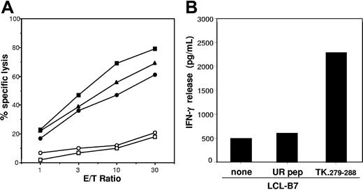 Figure 2. Vector-encoded proteins are the target antigens of the GMC-specific immune response: identification of an immunodominant HSV-TK epitope. (A) LCLs from patient 2 were transduced with retroviral vectors encoding single components of the SFCMM2 vector and used as target in a standard chromium release assay at the indicated E/T ratios. LCLs expressing the TN fusion protein (●), the wild-type HSV-TK (■), or the neo gene (▴) were recognized and killed at a similar level. Untransduced LCLs (○) and LCLs expressing the ΔLNGFr cell-surface marker15 (□) were not recognized. (B) HLA-B*0701+ LCLs (LCL-B7) were incubated with 10 μM peptide TK.279-288 and used as stimulator cells in an IFN-γ release assay. An unrelated peptide (UR pep) able to bind HLA-B*0701 molecule was used as control for specificity.