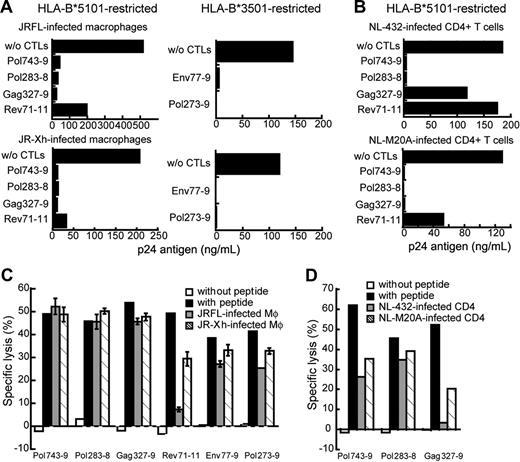 Figure 2. Strong abilities of HIV-1–specific CTLs to suppress HIV-1 replication in HIV-1–infected macrophages and to kill them. (A-B) Ability of HIV-1–specific CTL clones to suppress HIV-1 replication in HIV-1–infected macrophages and in HIV-1–infected CD4+ T cells. Macrophages and CD4+ T cells from an HLA-B*5101+ donor and an HLA-B*3501+ donor were infected with JRFL or JR-Xh and NL-432 or NL-M20A, respectively, and then cocultured with each HIV-1–specific CTL clone at an E/T ratio of 1:1. HIV-1 p24 antigens in the supernatant were measured on day 9 after infection by use of an enzyme immunoassay. Data shown in the figure are averages of triplicate assays for each HIV-1–specific CTL clone. (C) Cytotoxic activity against HIV-1–infected macrophages. Macrophages from an HLA-B*5101+ donor and an HLA-B*3501+ donor were infected with JRFL or JR-Xh. JRFL-infected (56% of total cells were p24 antigen-positive), JR-Xh–infected (48% of total cells were p24 antigen-positive) macrophages were used as target cells at an E/T ratio of 2:1. Data shown in the figure are averages ± SD of triplicate assays for each HIV-1–specific CTL clones. (D) Cytotoxic activity against HIV-1–infected CD4+ T cells. CD4+ T cells from an HLA-B*5101+ donor were infected with NL-432 or NL-M20A. NL-432–infected (81.6% of total cells were p24 antigen-positive) and NL-M20A–infected (79.1% of total cells were p24 antigen-positive) were used as target cells at an E/T ratio of 2:1.