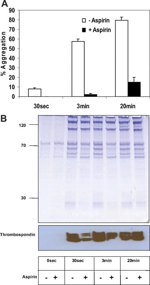 Figure 2. Time course of collagen-stimulated platelet releasate. Equal volumes of platelets (2.5 × 108) were stimulated with collagen in the presence or absence of low-dose aspirin (20 μM) at different time points (30 seconds, 3 minutes, and 30 minutes). The aggregation response was plotted (mean ± SD of 3 independent experiments) using different donors (A). Platelet releasate from a single representative donor was visualized using coomassie-stained (4%-20%) acrylamide (B, upper panel). An immunoblot for thrombospondin was performed on these fractions (B, lower panel).