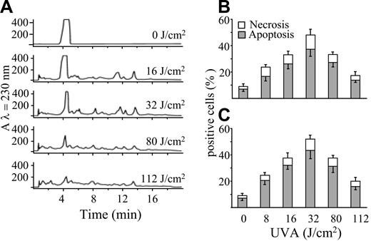 Figure 1. POPs generated by UVA and separated by HPLC induce cell death. (A) RP-HPLC elution profiles of a psoralen solution (2.7 mM) irradiated with increasing UVA doses (0-112 J/cm2). Jurkat cells (106/mL) were incubated at 37°C in the presence of POPs (50 μM) generated by increasing UVA doses, as reported in panel A. After 20 hours, apoptosis was evaluated by appropriate changes of nuclei stained with Hoechst 33258 (B) or by staining with annexin V (C), whereas nuclear staining by PI was utilized for the evaluation of necrosis. Values are means ± SD of at least 4 experiments.