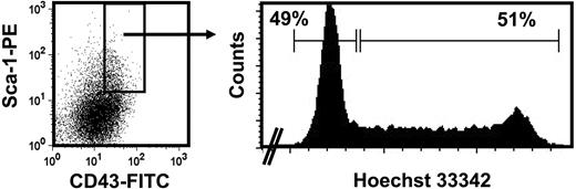 Figure 5. Cell-cycle analysis of the HSC-enriched fraction of W41/W41 fetal liver cells. Isolation of viable, lin−Sca1+CD43+E14.5 fetal liver cells from W41/W41 mice (left panel) that were then further enriched for HSCs by isolation of the Mac1+ subset and their distribution in G0/G1 versus S/G2/M assessed by staining with Hoechst 33 342 (right panel). Data are representative of 2 independent experiments.