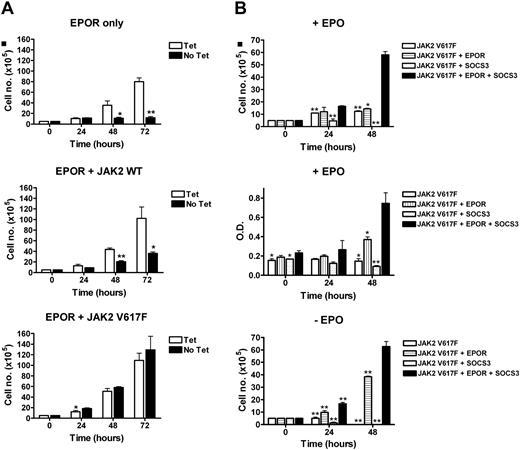 Figure 4. SOCS3 enhances JAK2 V617F–induced proliferation. (A) Ba/F3 cells expressing EPOR (top graph), EPOR and wild-type JAK2 (middle graph), or EPOR and JAK2 V617F (bottom graph) in which SOCS3 was absent due to the presence of tetracycline (□) or in which expression of SOCS3 was induced by the removal of tetracycline (■) were incubated in the presence of 5 U/mL EPO. Viable cell numbers determined by trypan blue exclusion. Significant differences between samples at each time point are indicated: *P < .05, **P < .01. (B) Ba/F3 cells stably expressing JAK2 V617F alone, or in combination with EPOR and/or SOCS3 as indicated were incubated in the presence of 5 U/mL EPO (top panels) or in the absence of cytokine (bottom panel), and viable cell numbers determined by trypan blue exclusion (top and bottom panels) or MTT assay (middle panel). Significant differences of samples to JAK2 V617F + EPOR + SOCS3 sample at each time point are indicated: *P < .05, **P < .01. Error bars represent standard deviation (SD).