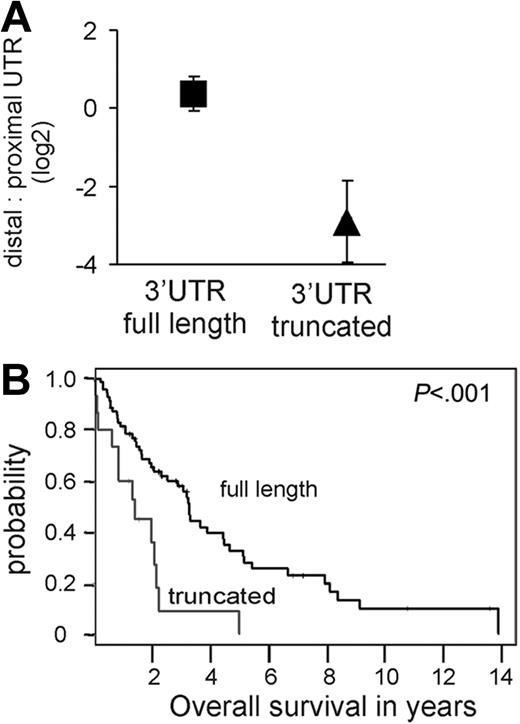 Figure 2. Cyclin D1a transcripts with a truncated 3′UTR are associated with inferior survival. (A) The relative amount of cyclin D1a transcripts with a truncated 3′UTR compared to full-length form was determined with probes in the proximal UTR and the distal UTR (see map in Figure 1). The mean and standard deviation for this ratio is given for tumors expressing full-length transcripts (square; a representative subset of 32 samples from Figure 1B was analyzed) as compared to transcripts with truncated 3′UTR (triangle; n = 15). (B) Kaplan-Meier estimates of overall survival according to predominant type of cyclin D1a transcript. The median survival for patients whose tumors expressed full-length cyclin D1 mRNA (n = 69) was 3.28 years, compared to 1.38 years for tumors expressing truncated cyclin D1a mRNAs (n = 15).