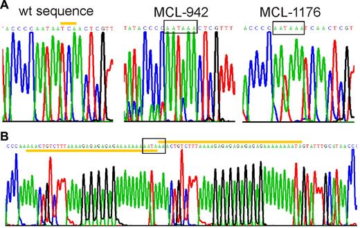 Figure 4. Mutations in the 3′UTR generate premature polyadenylation signals. Sequencing chromatograms showing premature polyadenylation signals (boxed). (A) Wild-type and mutated cyclin D1a alleles from MCL-tumors 942 and 1176 are shown. The yellow bar highlights the 3 nucleotides at position 1344-46 of wild-type cyclin D1a mRNA that were deleted in MCL-942. In MCL-1176 and Z-138, there was an A insertion before position 1250. (B) The mutated allele of MCL-970 contained a partial duplication (yellow bars), starting at position 1233.