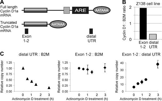 Figure 5. Cyclin D1a transcripts with full-length and truncated 3′UTRs are expressed in Z-138, but the transcript with a truncated 3′UTR is more stable. (A) Schematic representation of the 2 cyclin D1a transcripts found in Z-138. Lines represent the mRNA, with shaded boxes indicating the coding sequence. Ovals indicate the position of the polyadenylation signal (AATAAA), while the light gray square and the black box represent mRNA destabilizing elements, including an AU-rich element (ARE). PCR probes are represented by filled boxes. (B) Expression of cyclin D1 transcripts in Z-138 cells in relation to beta-2 microglobulin (B2M). (C-E) Relative expression levels of cyclin D1 and B2M transcripts in Z-138 cells after inhibition of transcription with 10 μg/mL actinomycin D.